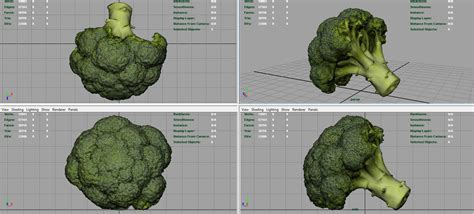 3d Model Broccoli Piece Of Vr Ar Low Poly Cgtrader