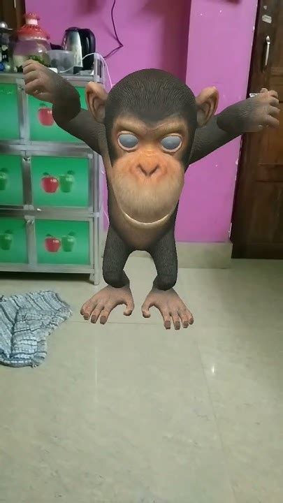 Monkey Dance 🐒shortsshortsviral Shortsfeed 🐒😁🤣🔥 Youtube