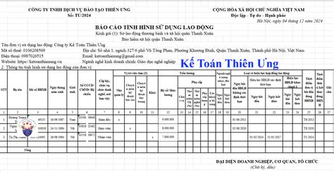 Cách Làm Báo Cáo Tình Hình Sử Dụng Lao động Theo Mẫu Năm 2024