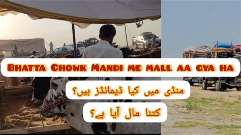 Bhatta Chowk Mandi Update Bhatta Chowk Mandi 2023 June 5