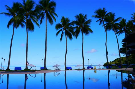 Palau Pacific Resort Reviews & Specials - Bluewater Dive Travel