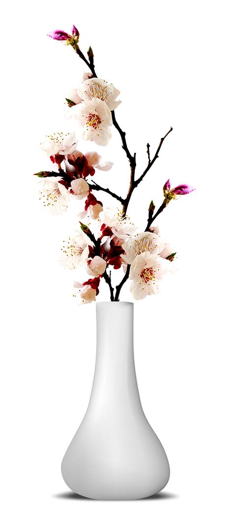 Vase Png Images Transparent Free Download