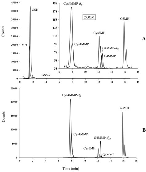 Esi Selected Reaction Monitoring Srm Chromatogram Of Methionine