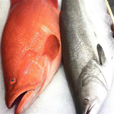 Red Snapper Vs Salmon Taste Which Is The Winer