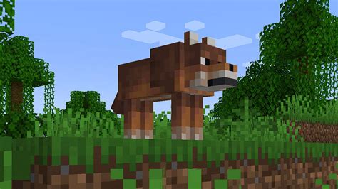 Minecraft todos los nuevos tipos de lobos y dónde encontrarlos