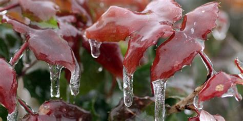 Celebrate The Season In Peace With These Gorgeous Icicle Photos | HuffPost