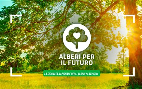 Ad Alba Si Piantano Alberi Per Il Futuro