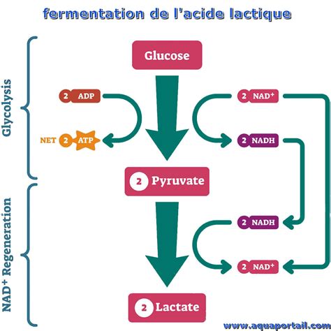 Mise Jour Imagen Formule De Politesse Gratuit Fr Thptnganamst