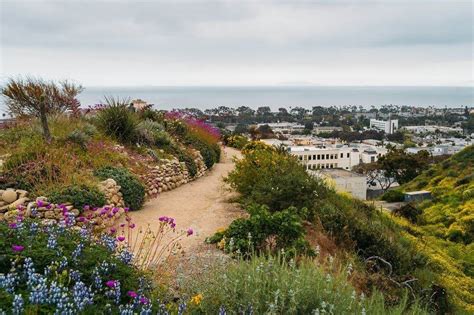 Ventura Botanical Gardens Trail In Ventura