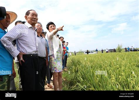 File Chinese Scientist Yuan Longping Known As The Father Of Hybrid Rice Is Pictured As He