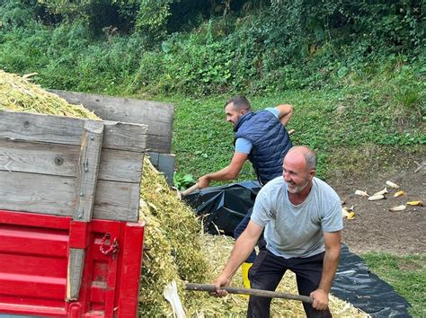 Foto Efendija Iz Vlasenice Sve Radi Sa Svojim Kom Ijama Crna