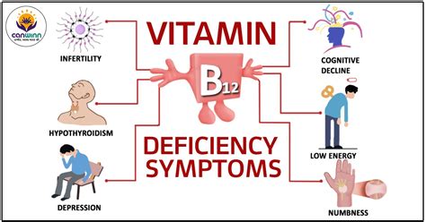 Vitamin B12 Deficiency Symptoms CanWinn Foundation