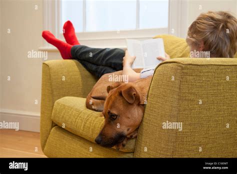Boy In Armchair Reading And Cuddling Dog Stock Photo Alamy