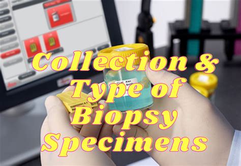 Cytology Specimen A Comprehensive Guide To Collection And Types