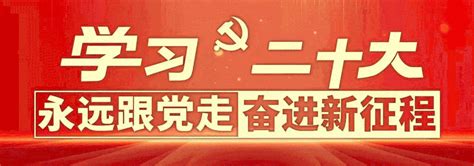 【全面深入学习宣传贯彻党的二十大精神】强化政治引领 筑牢思想根基 推动党的二十大精神在我县政法系统落地生根 工作 干警 机关