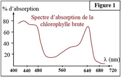 Conversion de lénergie lumineuse en énergie chimique et synthèse de la