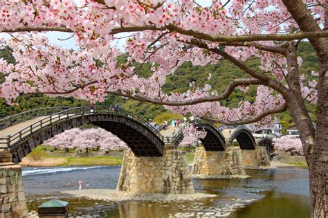 2020年の桜に逢いたい♪ 中国地方のさくら名所4選季節・暮らしの話題 2020年03月10日 日本気象協会 Tenkijp