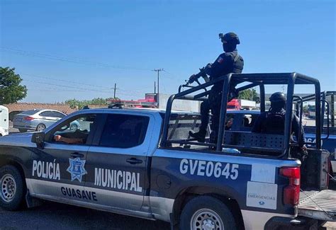 Histórica Multa Por Tala De árboles En Guasave Jesús Efrén El Primer