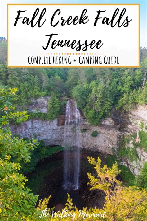 Guide To Fall Creek Falls State Park Tennessee Artofit