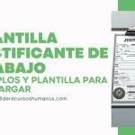 Ejemplos De Email De Seguimiento Para Tu Candidatura Actualizado