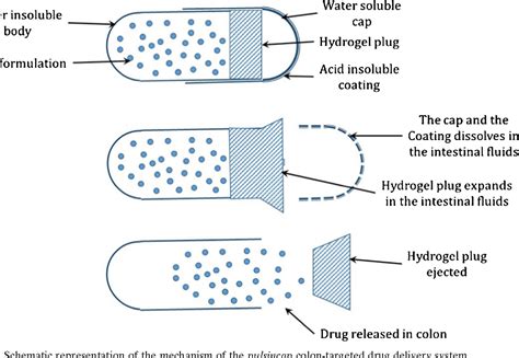 Figure 3 From Colon Targeted Oral Drug Delivery Systems Design Trends