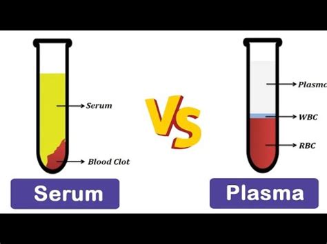 Serum Vs Plasma Difference Between Plasma And Serum Youtube