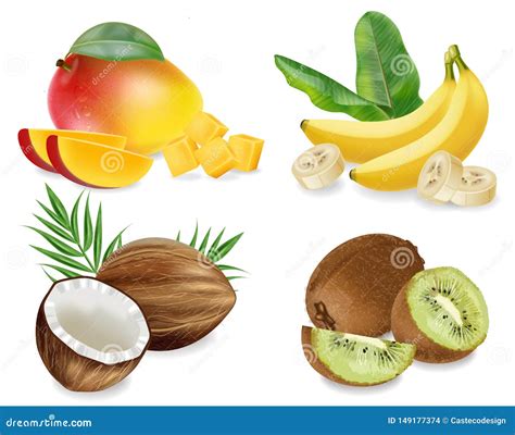 Mango Coconut Kiwi And Banana Vector Realistic Set Collection Fruits