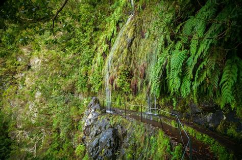 Premium Photo Waterfalls Flowing Down To Levada