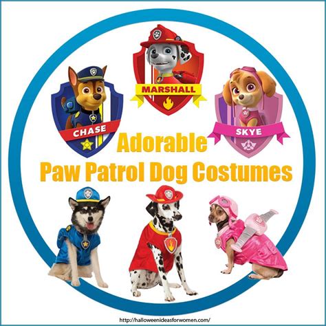 Adorable Paw Patrol Costumes For Dogs … | Paw patrol costume, Paw patrol dog costume, Christmas ...