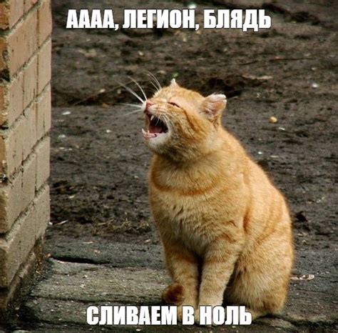 Создать мем "наглый рыжий кот, котик зевает, орущий кот" - Картинки ...