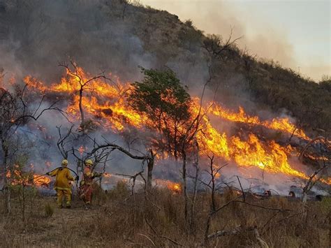 Extremar N Medidas Por Incendios Forestales En La Capital Y Municipios