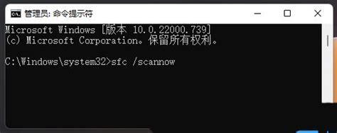 Win11设置打开闪退怎么解决 Win11设置界面闪退的三种修复教程windows11windows系列操作系统脚本之家