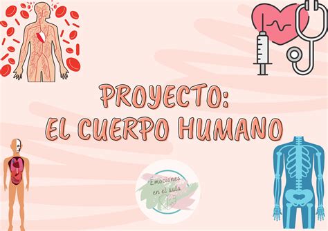 Profes Papel Tijera EL CUERPO HUMANO