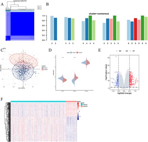 Full Article Unveiling And Validating The Role Of Fatty Acid