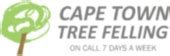 South Africa Tree Felling Legal Laws Regulations What To Know