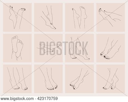 Female Feet Outline Vector Photo Free Trial Bigstock