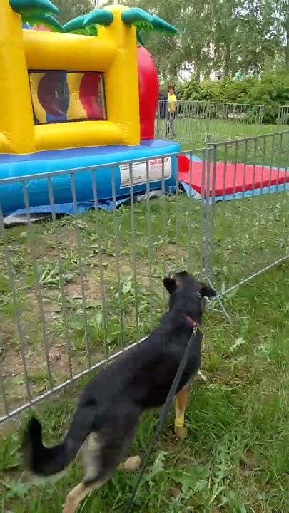 прверка😀🐕 - YouTube