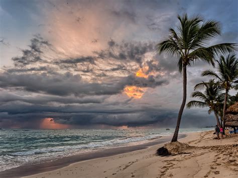 Free Images Beach Sea Coast Tree Sand Ocean Horizon Cloud Sky