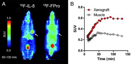 F Il And Trans F Fluoro L Proline Pet Images From Min