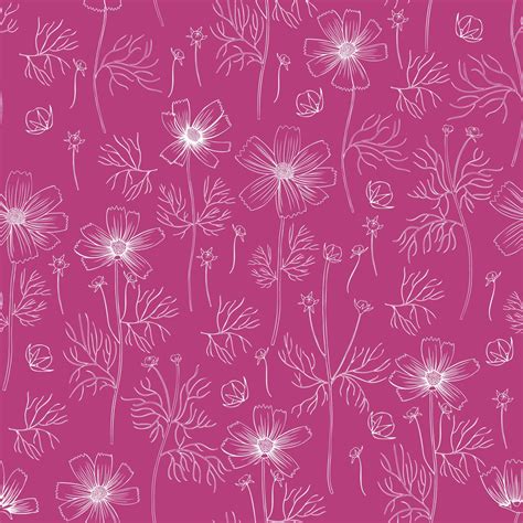 Seamless Floral Pattern Kosmos Flower Line Art Kosmeya Hand Drawn