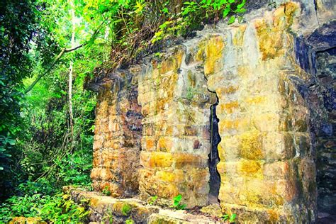 Características De La Selva Lacandona Vamos A Conocer Con Adrián Guerrero