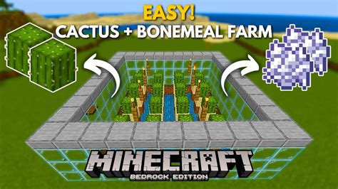 Easy Automatic Cactus Farm And Bonemeal Farm Minecraft Bedrock 1 21