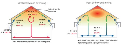 Cobb Breeder Management Guide Minimum Ventilation And Perimeter Inlet