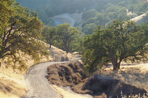 Del Valle Regional Park - Lonely Hiker