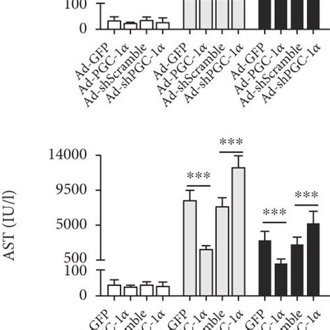 PGC 1α protects the liver against I R injury a Serum levels of