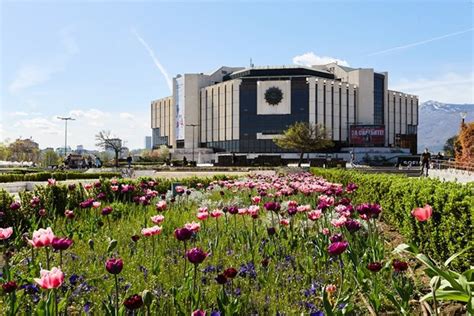 12-годишни драскали с графити фасадата на НДК, заснела ги камера