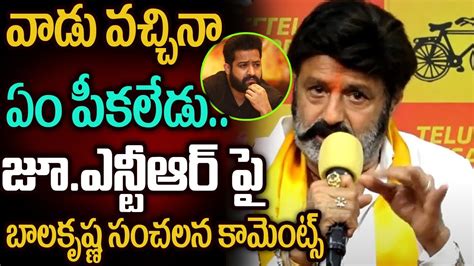 Chandrababus Arrest Nandamuri Balakrishna Hot Comments On Jr Ntr