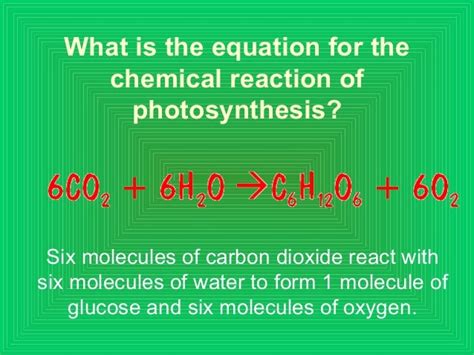 Photosynthesis Equation And Cellular Respiration Equation - Jaleada Mapanfu