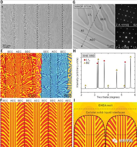 重磅！上海大学发表《science》：共晶鱼骨高熵合金及其多级裂纹缓冲效应
