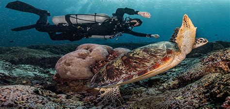 Pulau Tidung Oktober Keindahan Alam Budaya Wisata Bahari